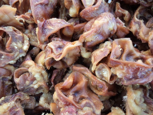 Schweineohrmuscheln 5 Kg regionaler Einkauf