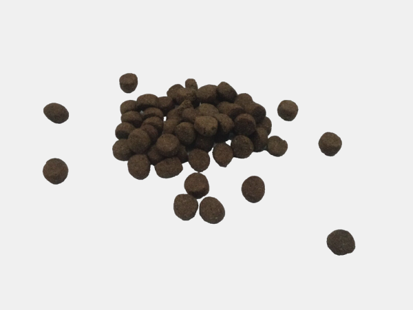 Trockenfutter Hundefutter 15 Kg Knusper-Fit glutenfrei