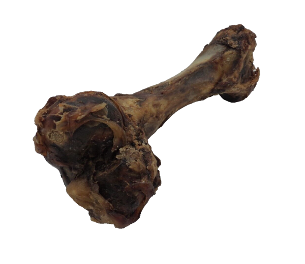 Schinkenknochen vom Schwein ca. 20cm