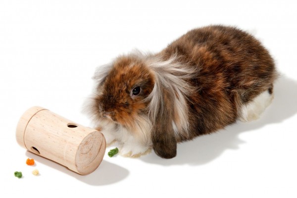 Rody Snack Roll L: 11 cm ø: 6 cm natur