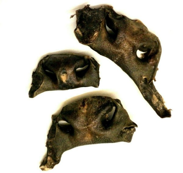 1 Kg Rindernasen