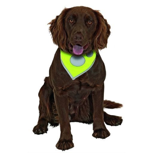 Safety Dog Sicherheits-Halstuch L: 28 - 40 cm B: 2 cm